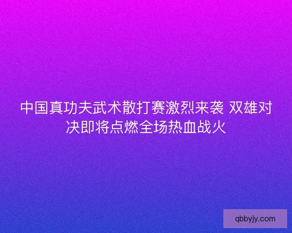 中国真功夫武术散打赛激烈来袭 双雄对决即将点燃全场热血战火